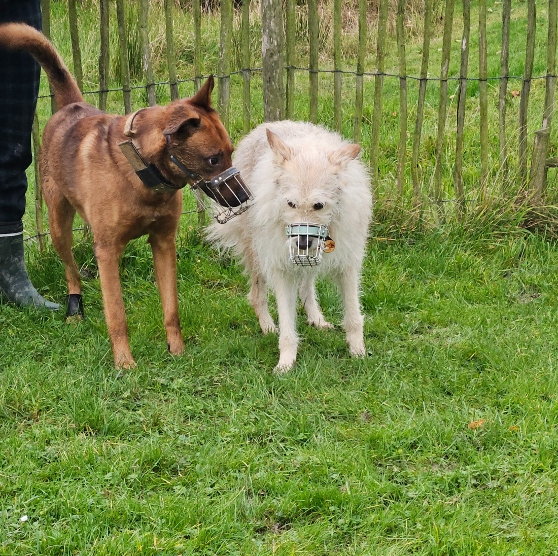 Mauli´s & Co. 16.15 Uhr